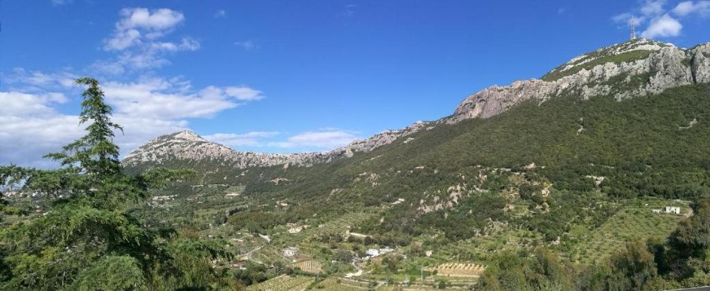 Hotel Sant'Elene Dorgali Exteriér fotografie