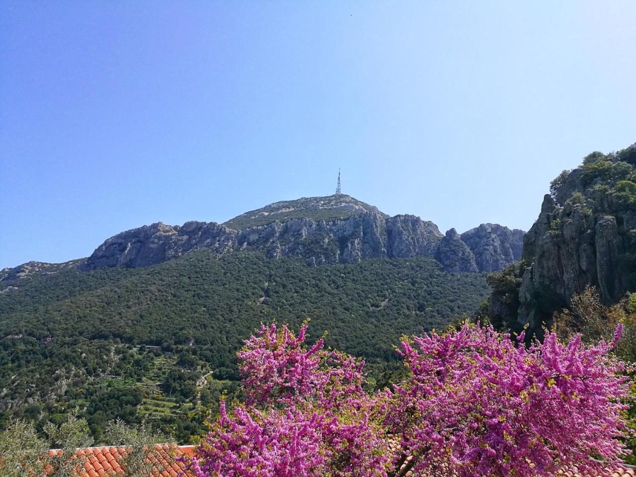 Hotel Sant'Elene Dorgali Exteriér fotografie